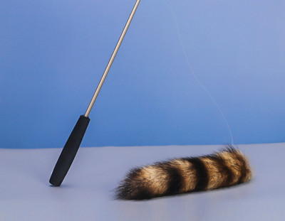 Kaķu stieņa rotaļlieta