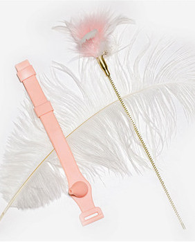 Καλάμι ψαρέματος τύπου παιχνίδι γάτας - δύο μοντέλα