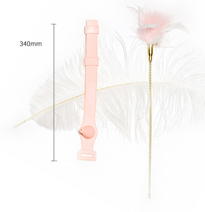 Καλάμι ψαρέματος τύπου παιχνίδι γάτας - δύο μοντέλα