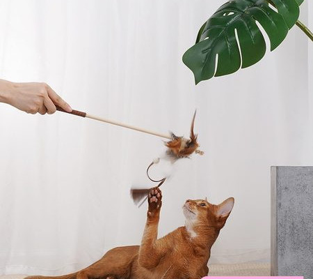 Jucărie din pene de pisică cu pene