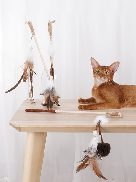 Jucărie din pene de pisică cu pene