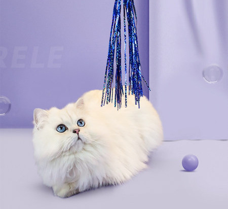 Undiță jucărie - pentru pisici