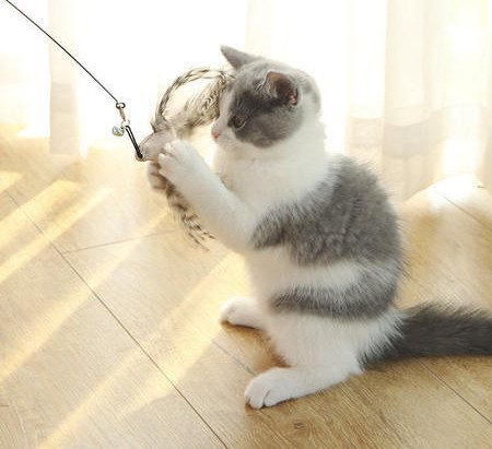 Kassimängu õngeritv erinevate ripatsidega