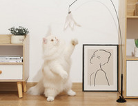 Jucărie pentru pisici cu pandantiv și suport cu aspirator