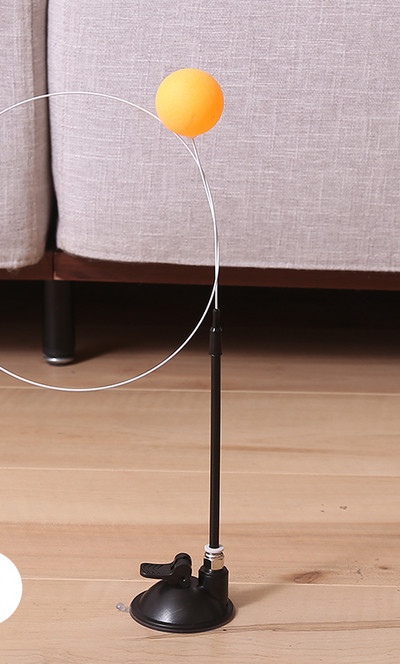 Jucărie pentru pisici cu pandantiv și suport cu aspirator