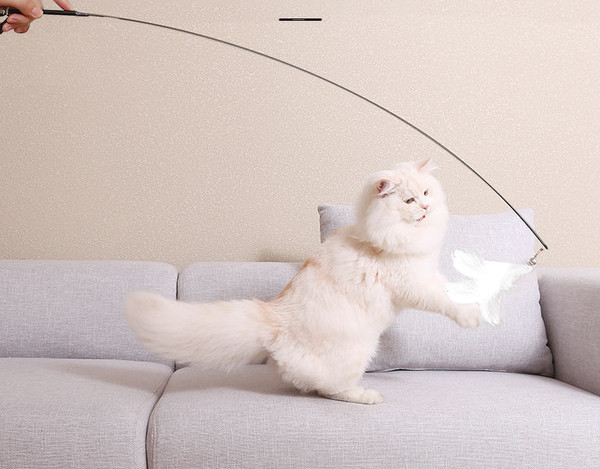 Jucărie pentru pisici cu pandantiv și suport cu aspirator