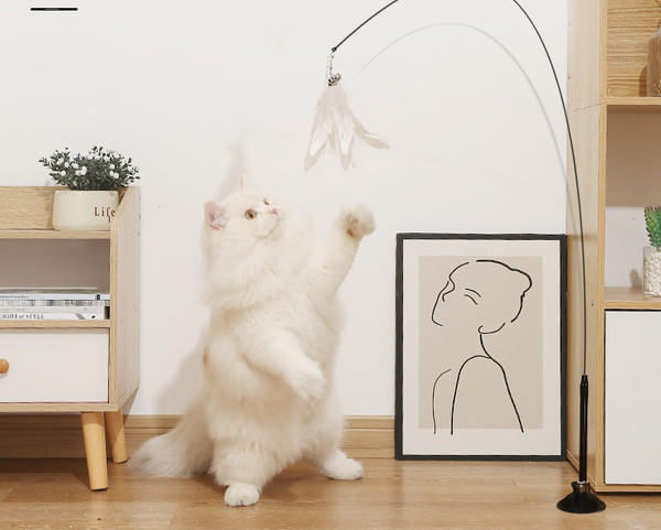 Jucărie pentru pisici cu pandantiv și suport cu aspirator