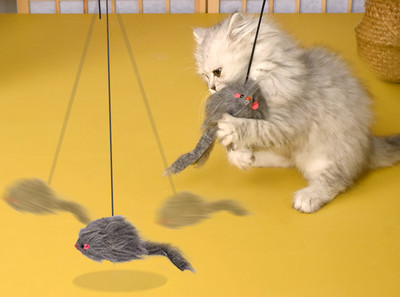 Piekarināma rotaļlieta kaķiem - vairāki modeļi