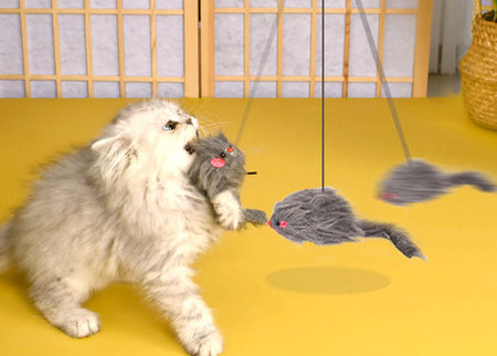 Piekarināma rotaļlieta kaķiem - vairāki modeļi