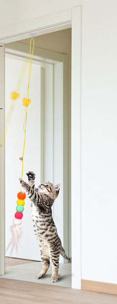 Κρεμαστό παιχνίδι για γάτες