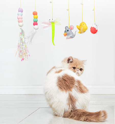 Κρεμαστό παιχνίδι για γάτες