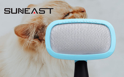 Birstīte kaķu ikdienas kopšanai