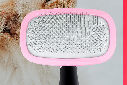 Birstīte kaķu ikdienas kopšanai