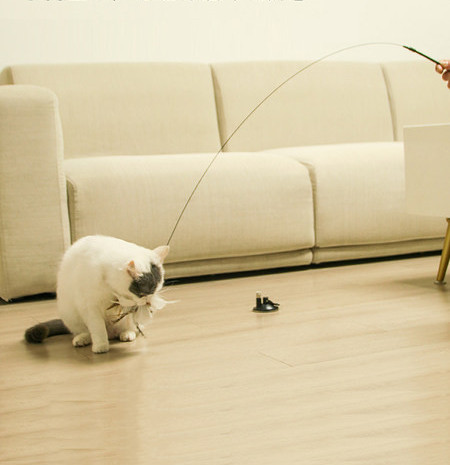 Παιχνίδι γάτας με φτερά με βάση 