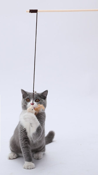 Undița din lemn cu pandantiv