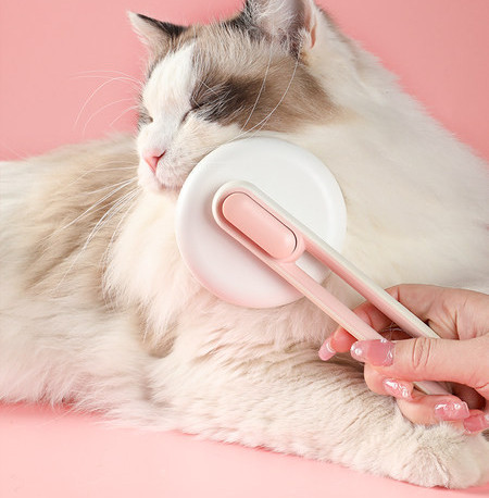 Ümmargune hari igapäevaseks hoolduseks – kassidele