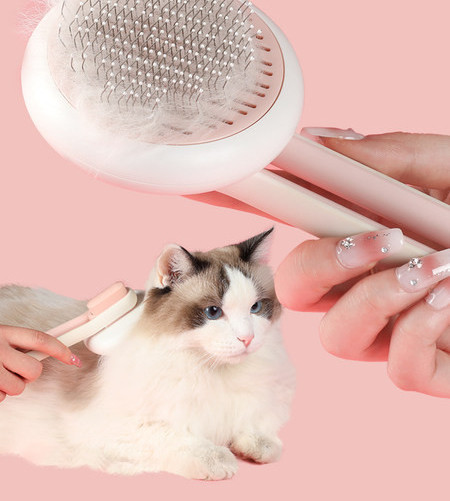 Ümmargune hari igapäevaseks hoolduseks – kassidele