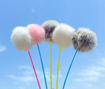 Kaķu rotaļu makšķere dažādos modeļos