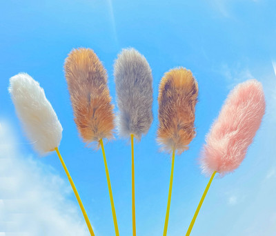 Kaķu rotaļu makšķere dažādos modeļos