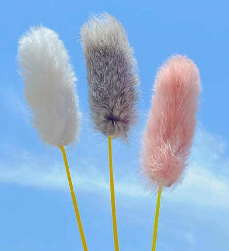 Kaķu rotaļu makšķere dažādos modeļos