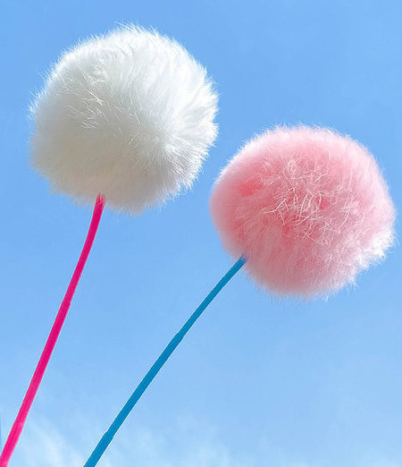 Kaķu rotaļu makšķere dažādos modeļos