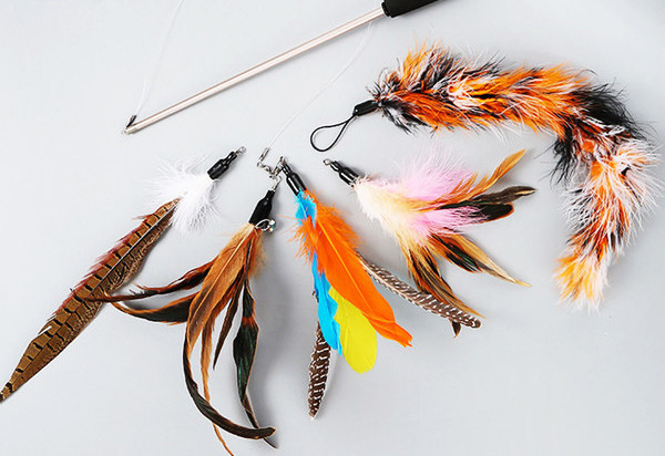 Undiță de pescuit jucărie pentru pisici cu 5 atașamente diferite