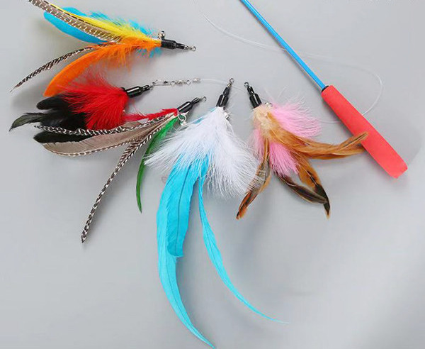 Undiță de pescuit jucărie pentru pisici cu 5 atașamente diferite