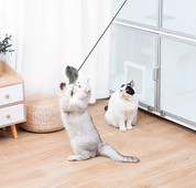 Undiță de pescuit tip jucărie pentru pisici autoadezive