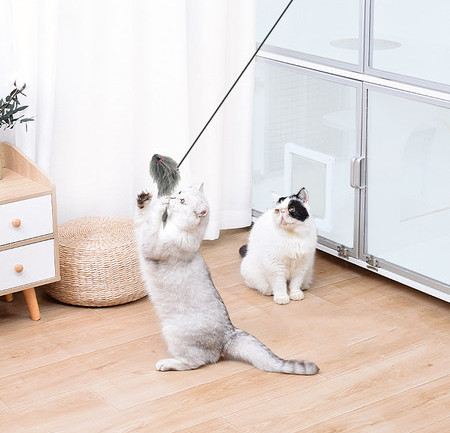 Undiță de pescuit tip jucărie pentru pisici autoadezive