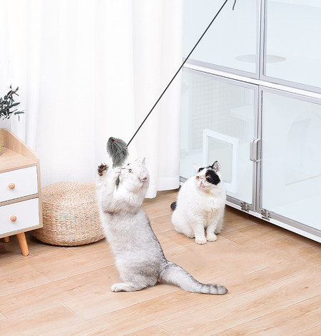 Undiță de pescuit tip jucărie pentru pisici autoadezive