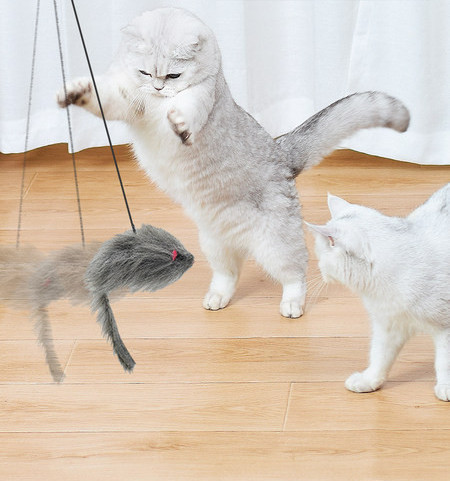 Undiță de pescuit tip jucărie pentru pisici autoadezive