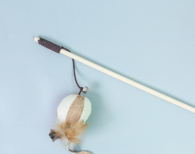 Mänguõng kassidele koos ripatsiga