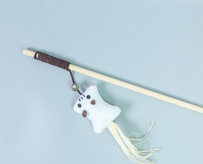 Mänguõng kassidele koos ripatsiga