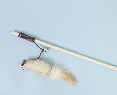 Mänguõng kassidele koos ripatsiga