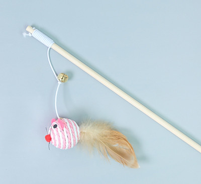 Mänguõng kassidele koos ripatsiga