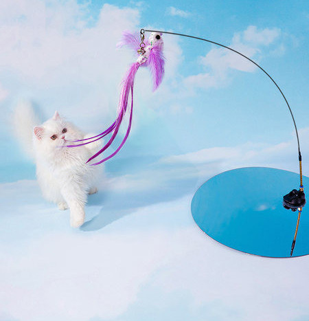 Undiță de pescuit jucărie cu pisici - mai multe modele