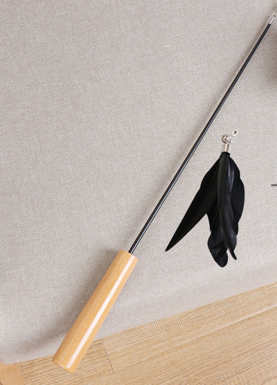 Undiță de pescuit jucărie pisică cu pene - 2 buc