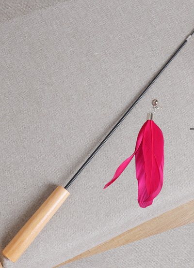 Undiță de pescuit jucărie pisică cu pene - 2 buc