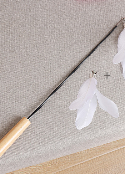 Undiță de pescuit jucărie pisică cu pene - 2 buc