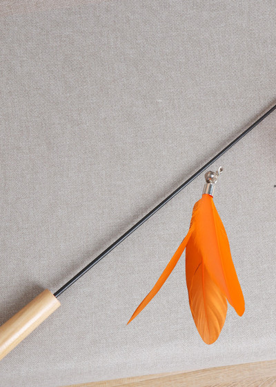 Undiță de pescuit jucărie pisică cu pene - 2 buc