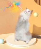 Τηλεσκοπικό καλάμι - καλάμι ψαρέματος με πούπουλα