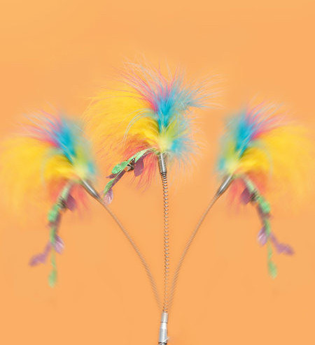 Τηλεσκοπικό καλάμι - καλάμι ψαρέματος με πούπουλα