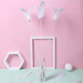 Mänguasi sulgedega kassidele