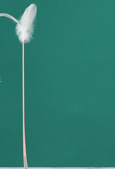 Mänguasi sulgedega kassidele