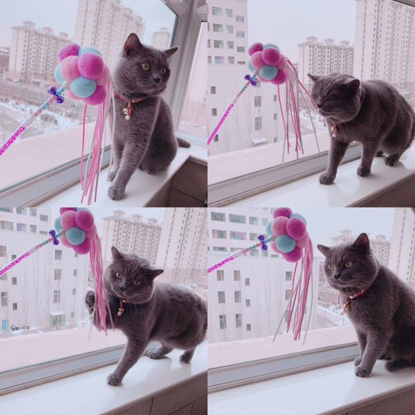 Igračka tipa mačka - više modela