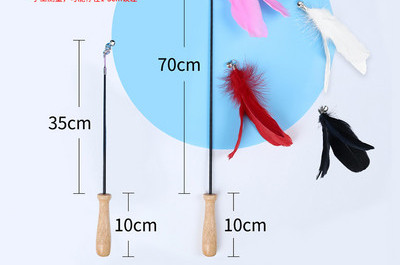 Sulgedega mänguasi kassidele