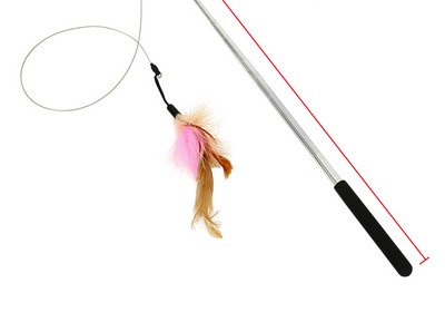 Sulgedega mänguasi kassidele