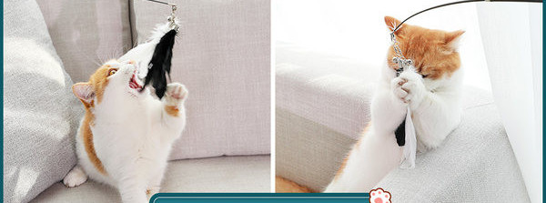 Sulgedega mänguasi kassidele