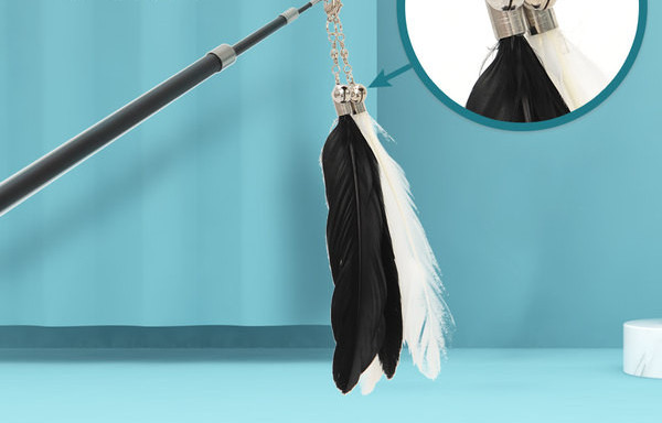 Sulgedega mänguasi kassidele