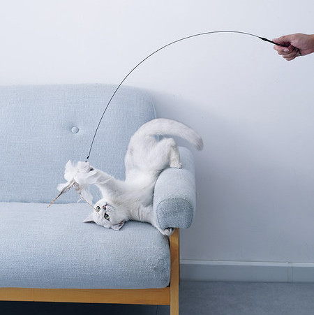 Undiță jucărie - două modele